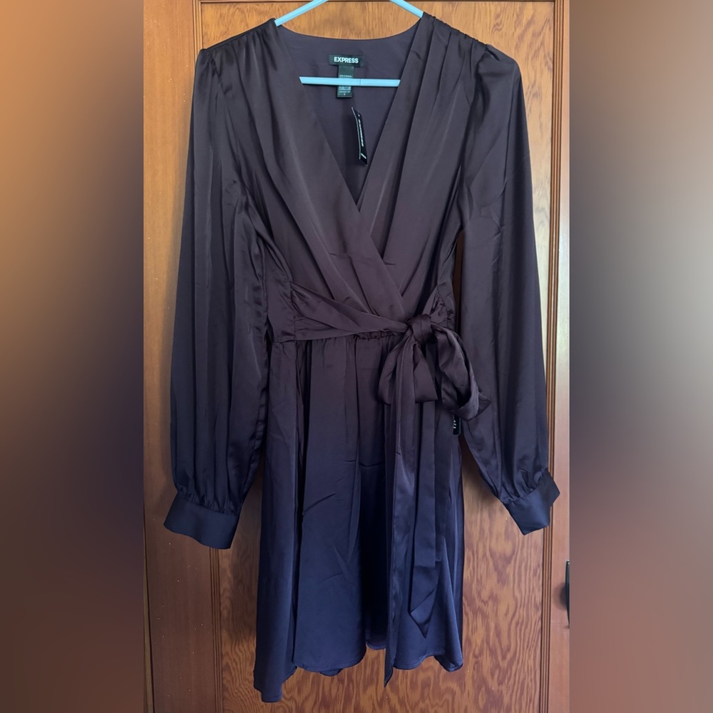 Express Elegant Plum Long Sleeve Dress